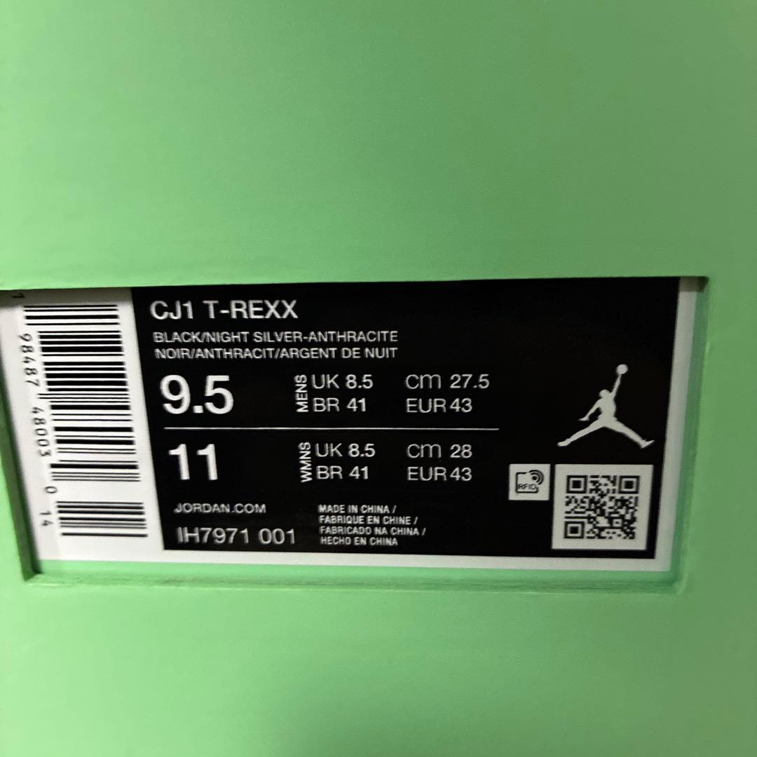 Travis Scott × Chase B × Nike CJ1 T-Rexx