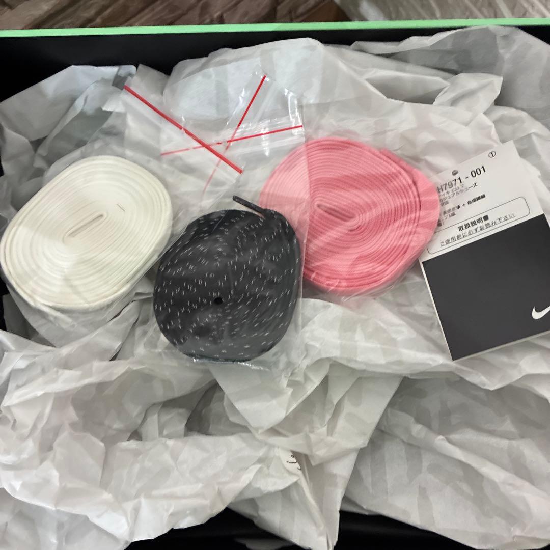 Travis Scott × Chase B × Nike CJ1 T-Rexx