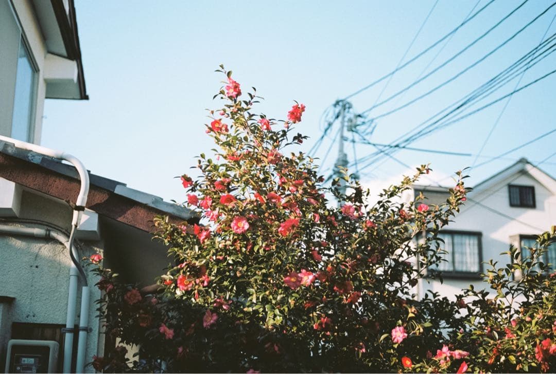 Nikon F3 HP 一眼レフカメラ