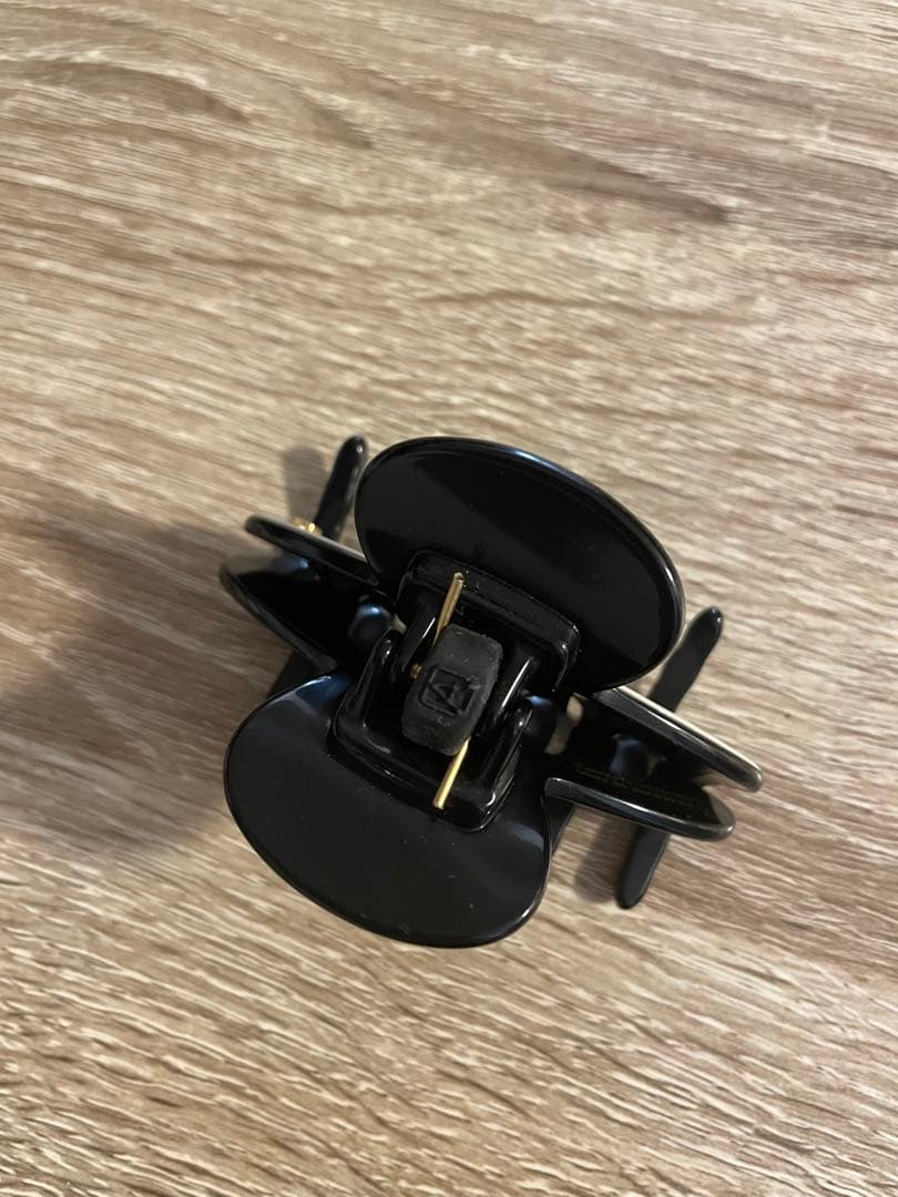 ALEXANDRE DE PARIS ヘアクリップ　LISERAI 完売　S