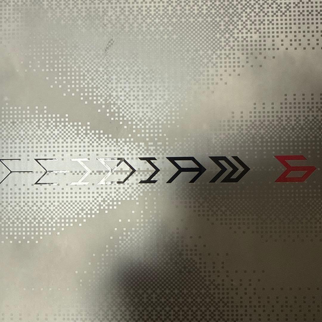 スパイク・シューズ LI-NING FEIDIAN 6 ELITE us7