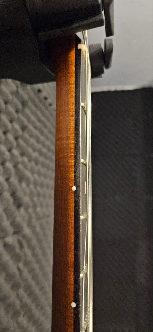 ギター momose MT-KYOZAKURA SP'24/E