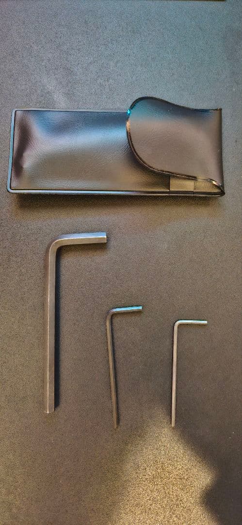 ギター momose MT-KYOZAKURA SP'24/E