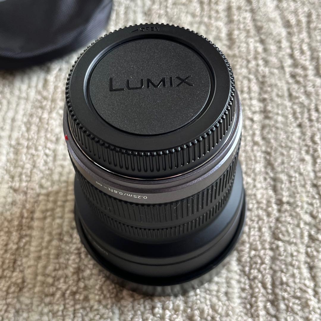 パナソニック H-F007014 LUMIX G VARIO 7-14mm
