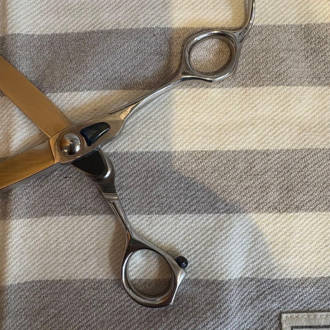 トギノンハサミ　マリンシャーク6.8（荒刈）