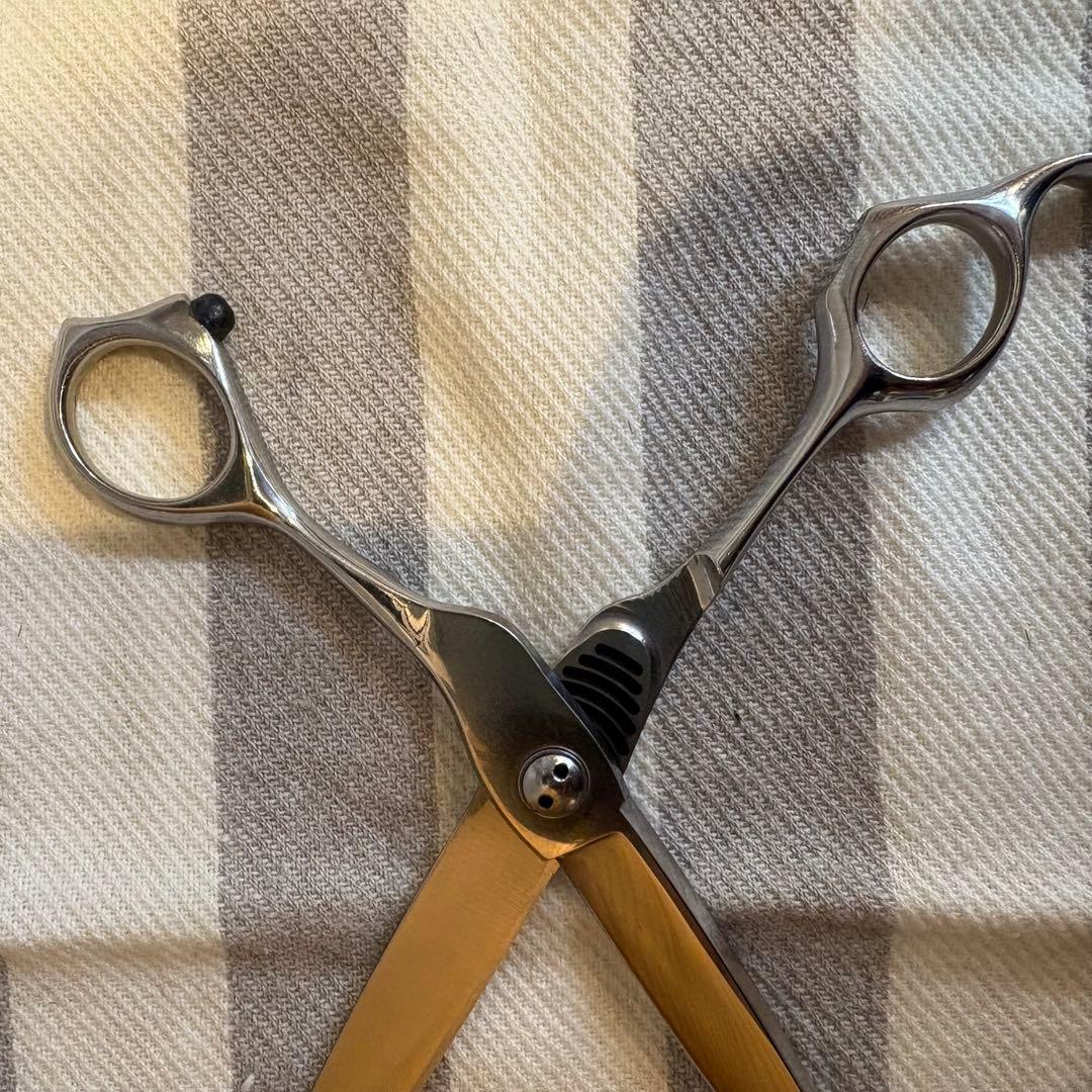 トギノンハサミ　マリンシャーク6.8（荒刈）