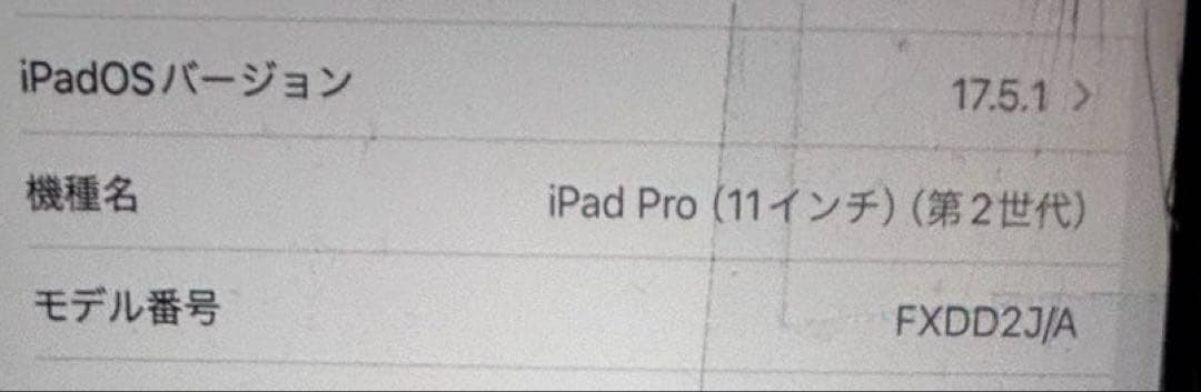 【ジャンク】iPad Pro 11インチ 第2世代 256GB シルバー