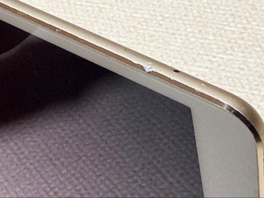 iPad Pro 10.5インチ ゴールド 256GB 本体