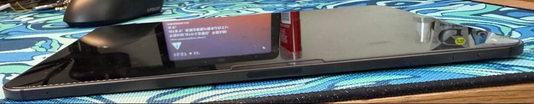 M4 iPad Pro 11インチ 256GB Wi-Fi＋セルラー ブラック