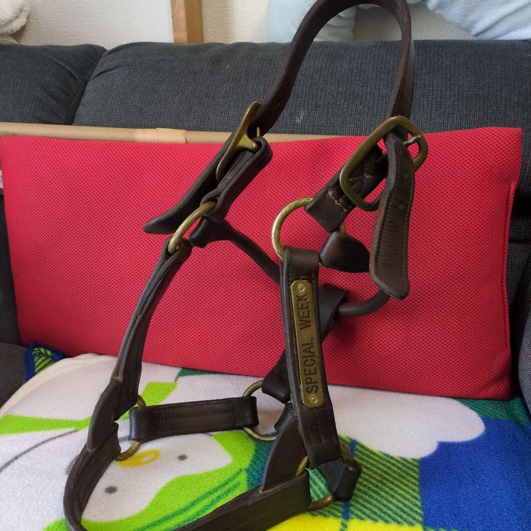 く*ろ様 競走馬　スペシャルウィーク　無口