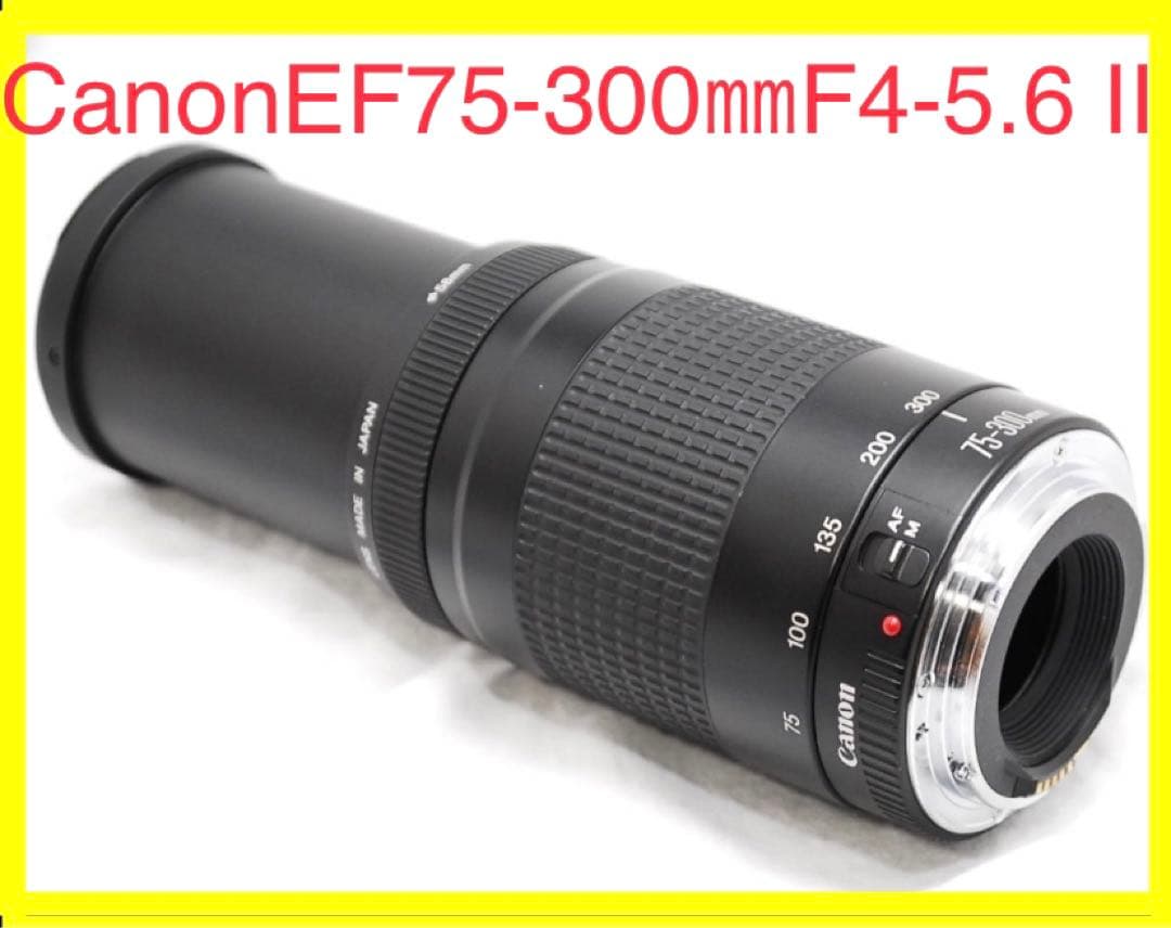 迫力300㎜☆キヤノン☆Canon EF 75-300㎜ F4-5.6 Ⅱ☆