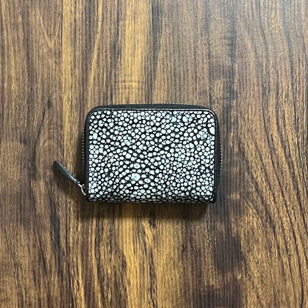 【新品・未使用】スタースティングレイ　ケース　カードケース　海の宝石　エイ