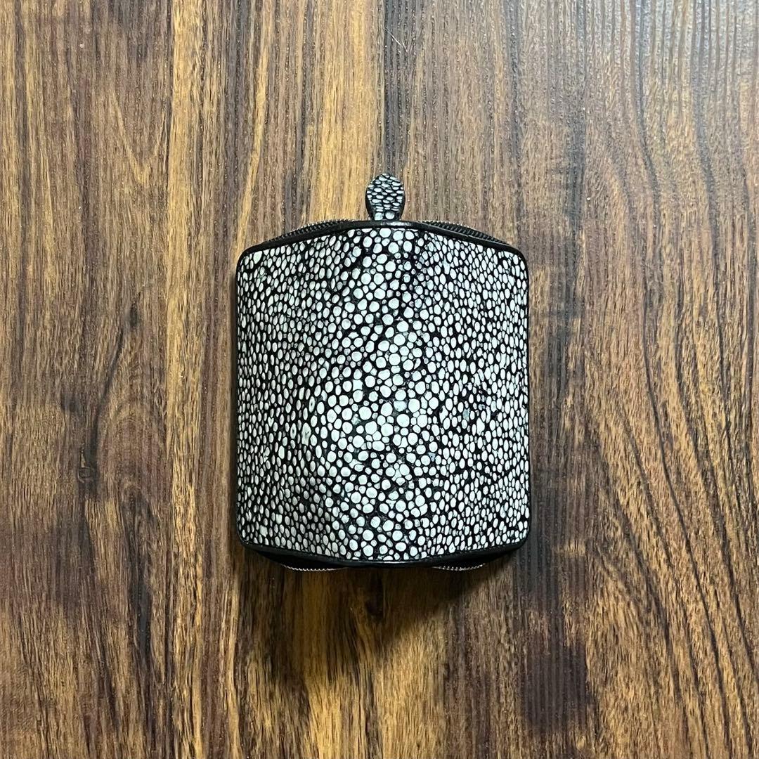 【新品・未使用】スタースティングレイ　ケース　カードケース　海の宝石　エイ