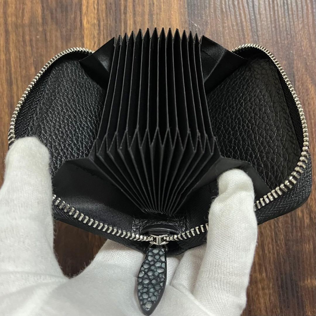 【新品・未使用】スタースティングレイ　ケース　カードケース　海の宝石　エイ