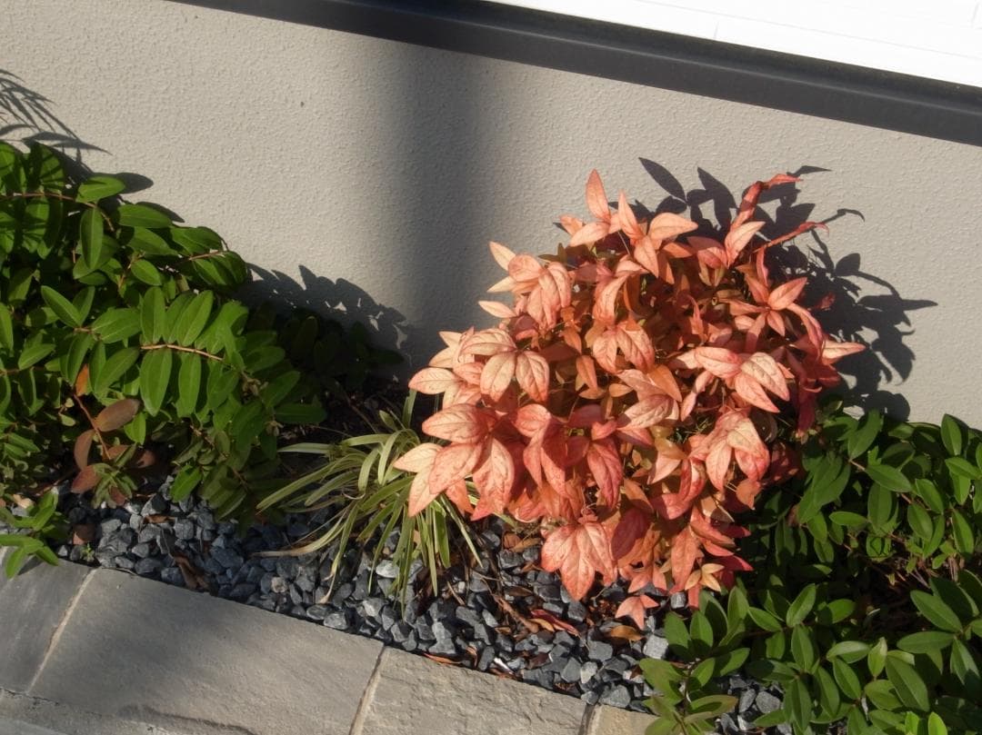 ✨ショット数2395回で美品✨インスタ撮影✨GR DIGITAL III　586