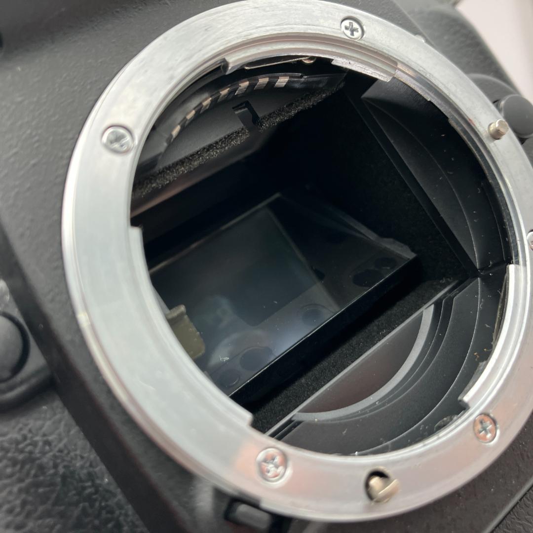 Nikon F80 ボディ MB-16 フィルムカメラ 訳あり品