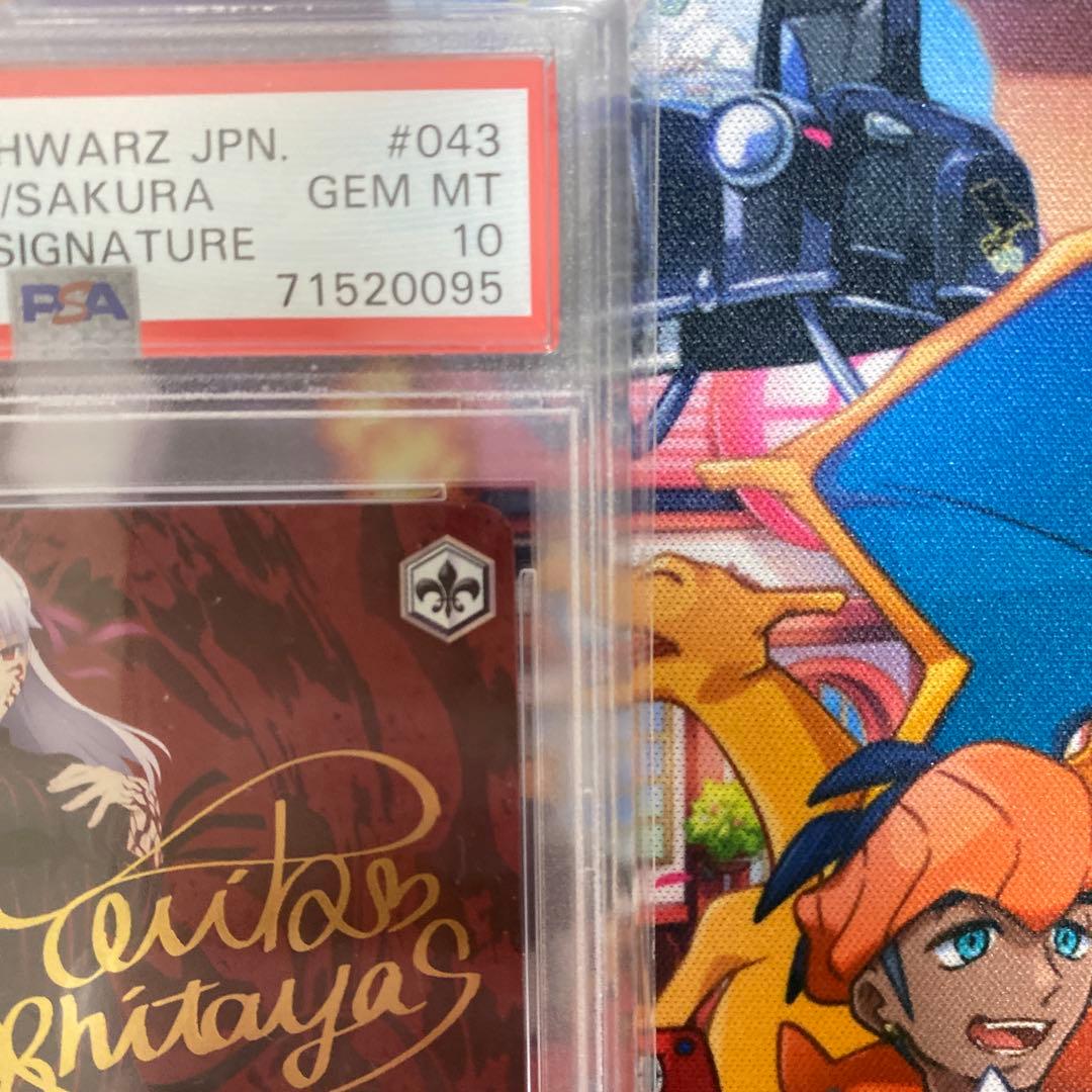 マキリの杯　桜　PSA10