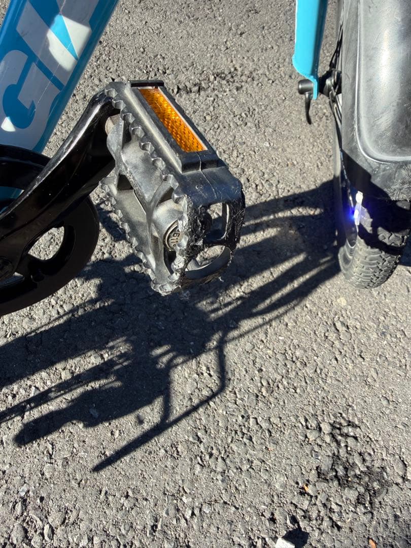 GIANT Snap 子供用自転車 20インチ　横浜市　引き渡し