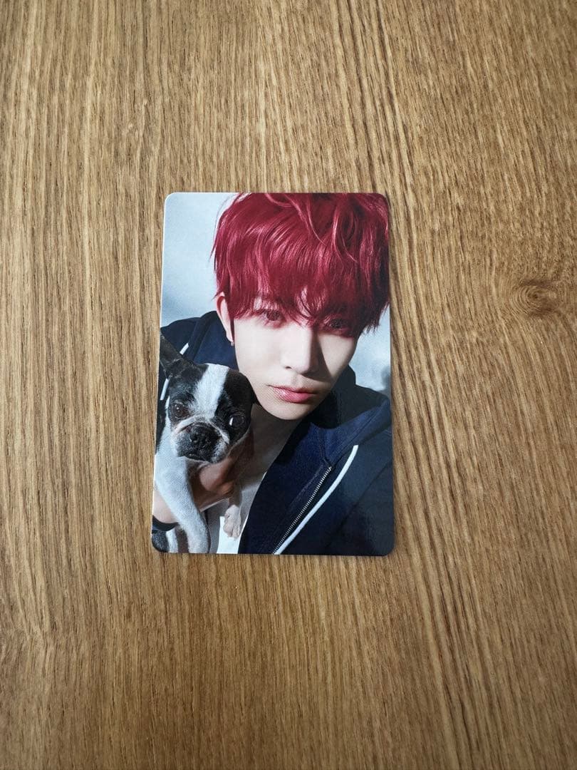 ENHYPEN アンケート 特典　FC 2025 ヒスン