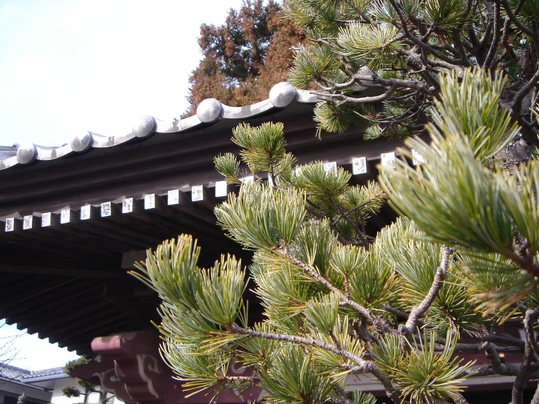 実写美⭕️美品【動作確認済】SONY Cyber-shot DSC-T33