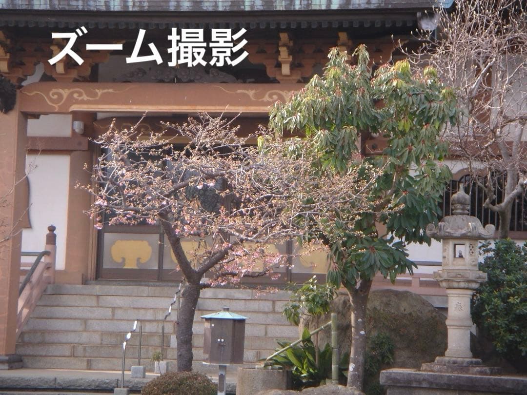 実写美⭕️美品【動作確認済】SONY Cyber-shot DSC-T33