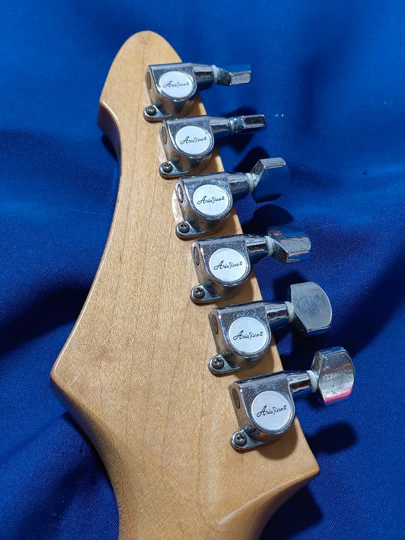 CAHPLINAiroPro RS Special ギター ソフトケース