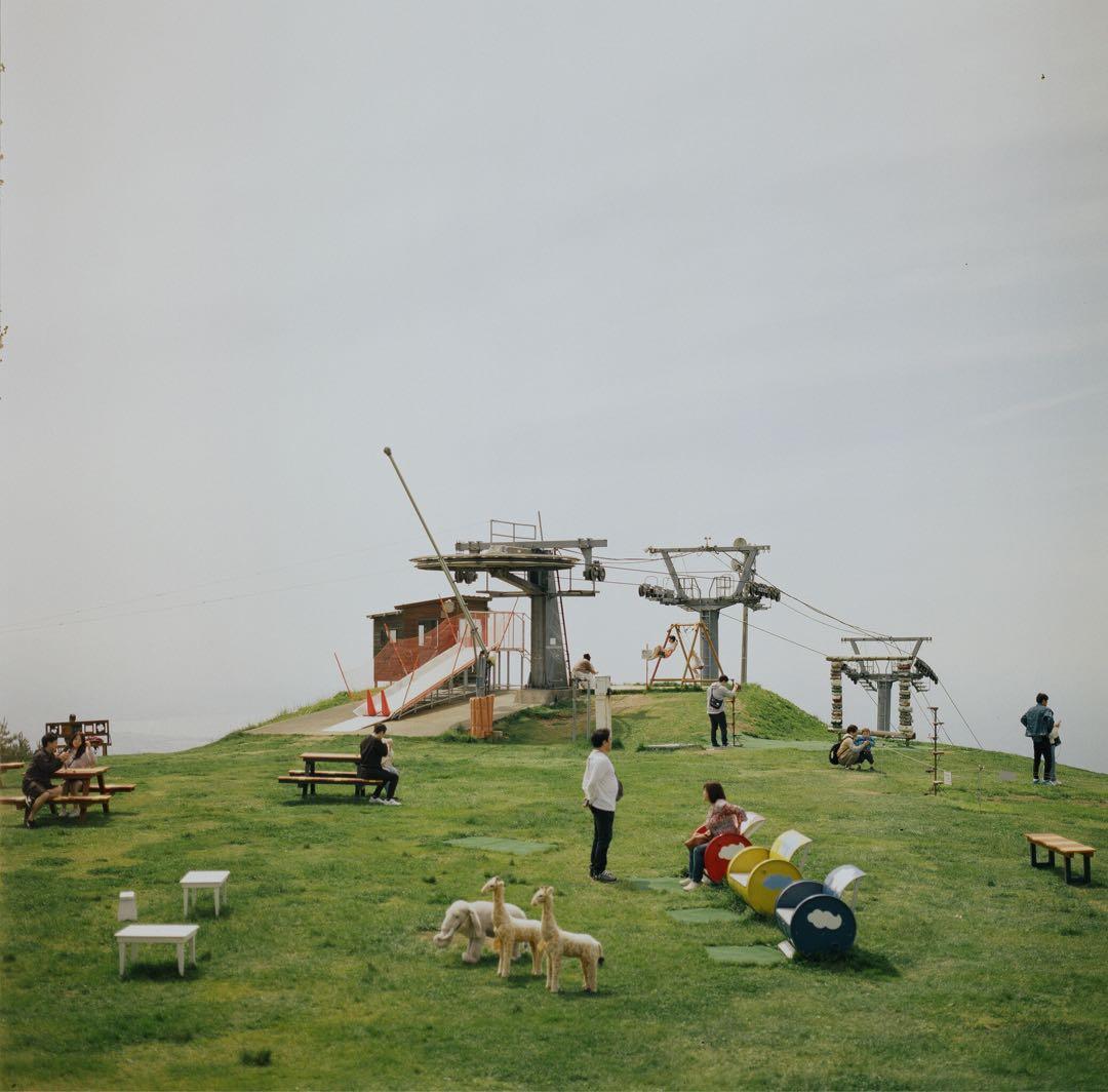 ハッセルブラッド500C/M+希少な白鏡胴T*80mm Cレンズ+付属品多数