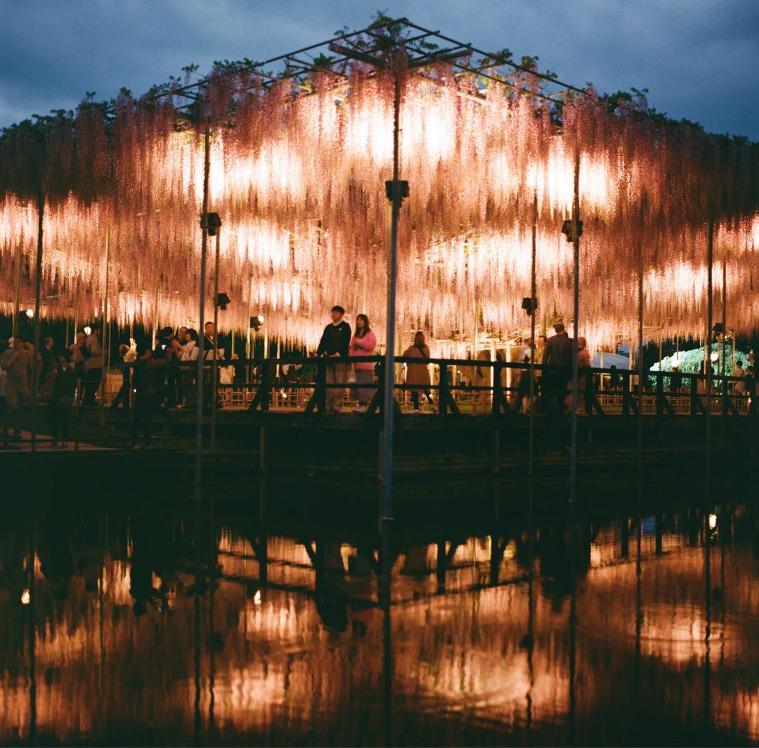 ハッセルブラッド500C/M+希少な白鏡胴T*80mm Cレンズ+付属品多数