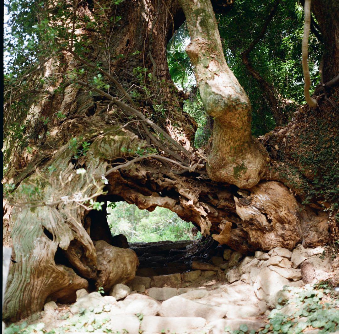 ハッセルブラッド500C/M+希少な白鏡胴T*80mm Cレンズ+付属品多数