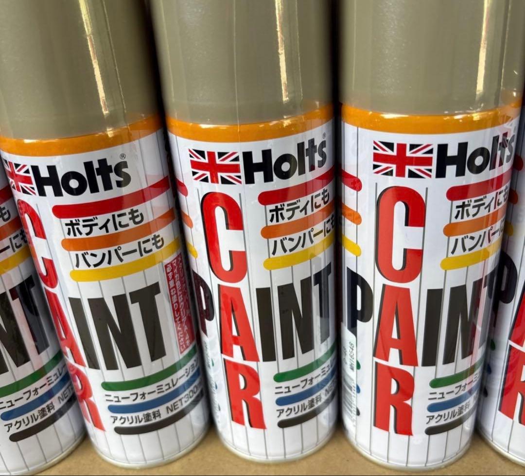 ホルツ ダイハツ T17 D-48 10本 スプレー カーペイント