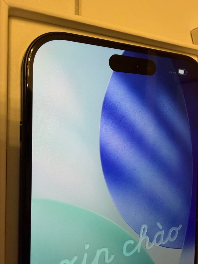 iPhone 15 Pro Max 256GB 動作品 アイフォン