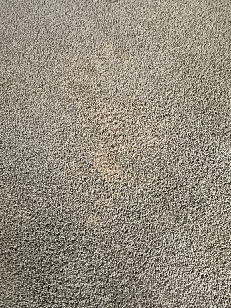 JAB 円形 ライトグレージュ　ラグ・カーペット