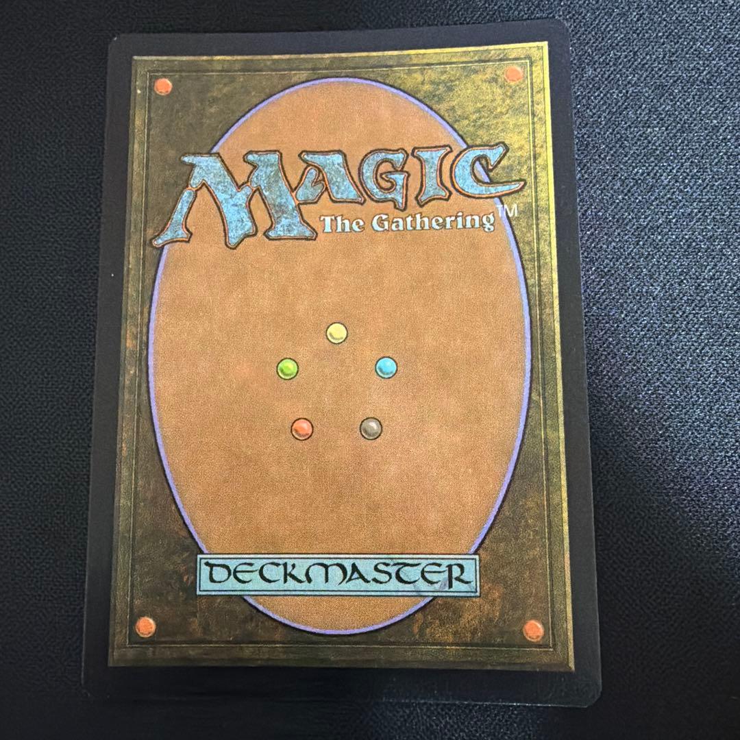 Sword of Fire and Ice MTG ボーダーレス英語foil