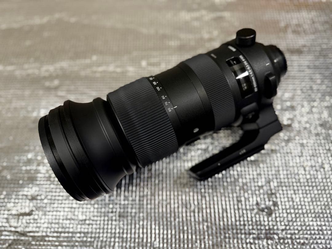 SIGMAズームレンズSports60-600mmF4.5-6.3(Nikon)