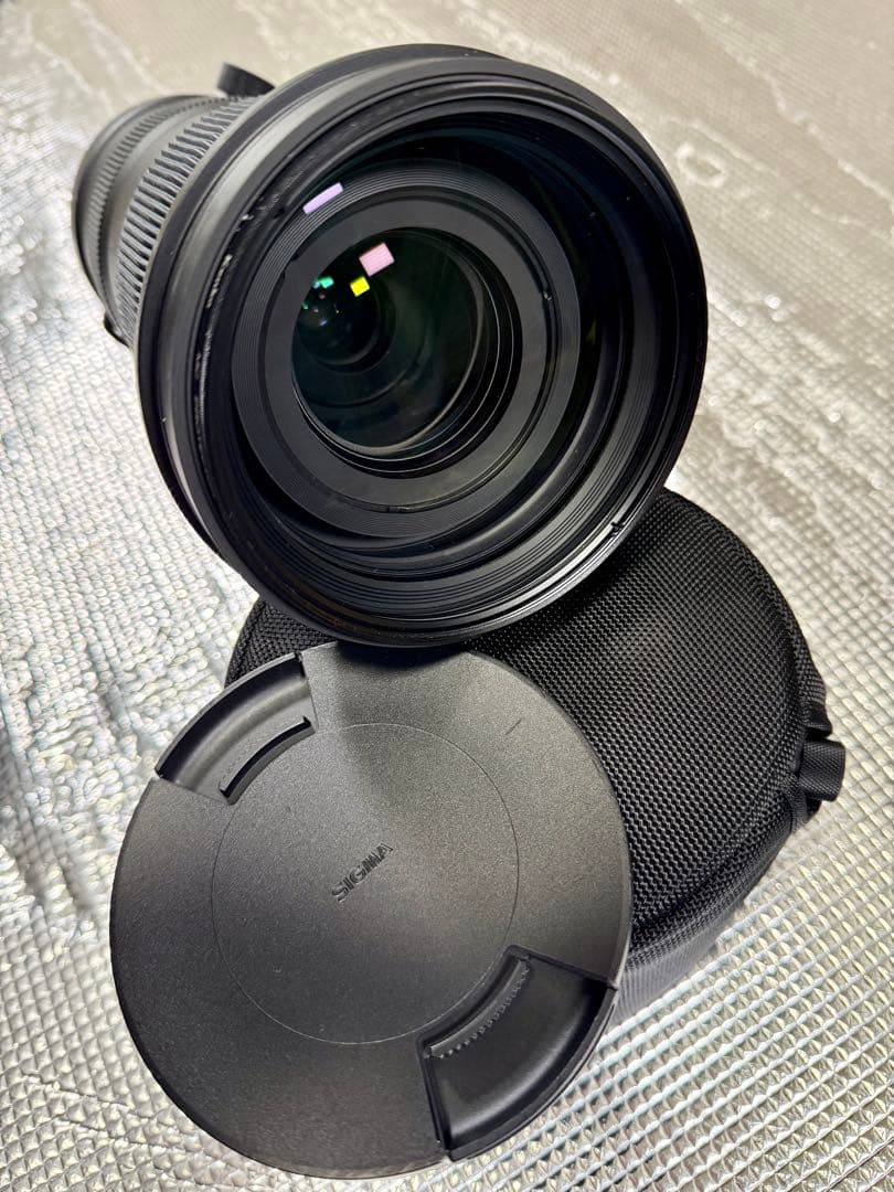 SIGMAズームレンズSports60-600mmF4.5-6.3(Nikon)