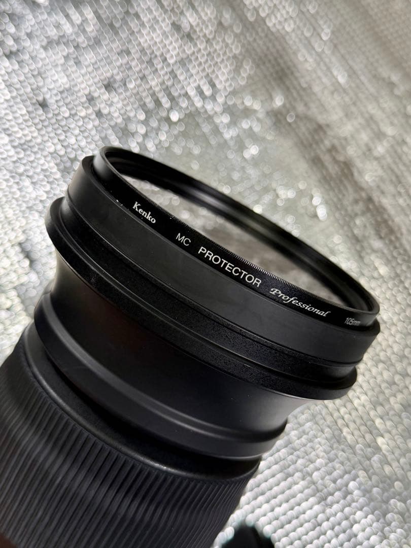 SIGMAズームレンズSports60-600mmF4.5-6.3(Nikon)