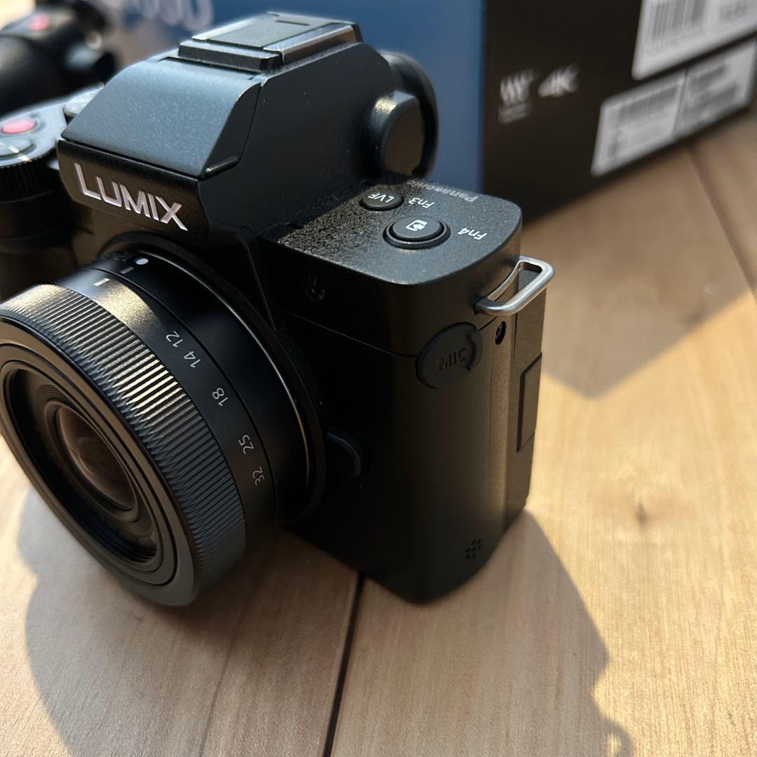 Panasonic LUMIX G100D グリップキット