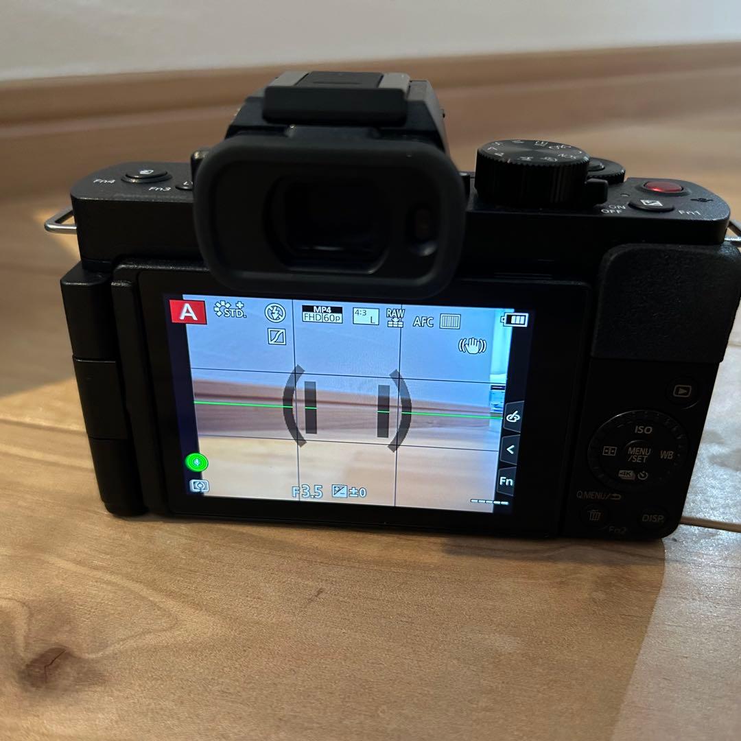 Panasonic LUMIX G100D グリップキット