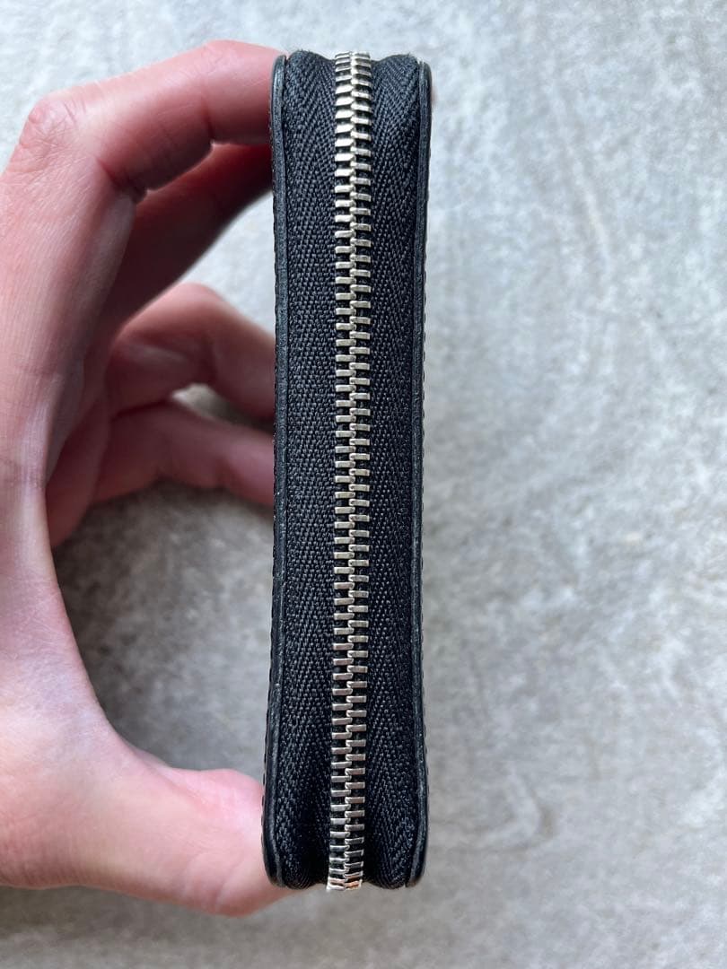 LOUIS VUITTON パース タイガ