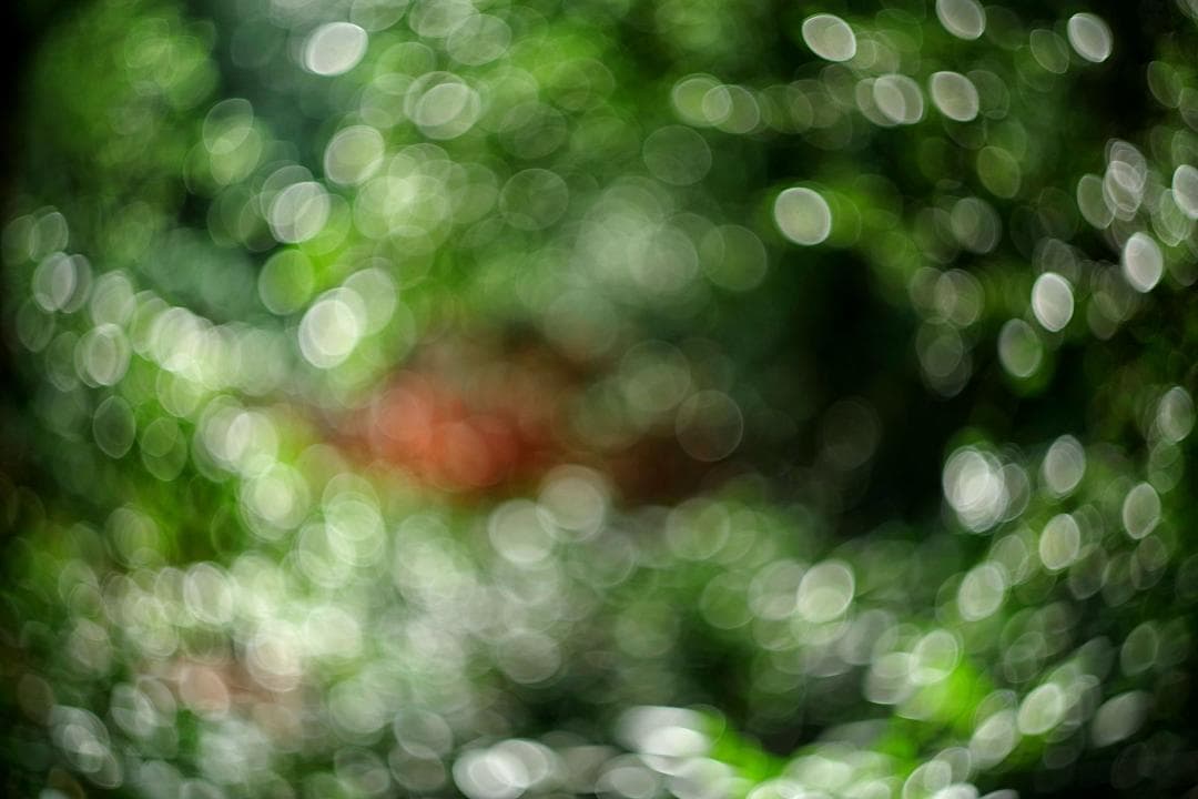 4【希少】Helios44 　美品　初期型ゼブラ　ヘリオス44　ぐるぐるボケ