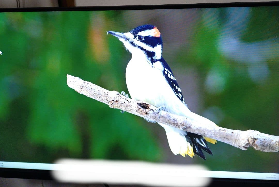 ASUS ゲーミングモニター TUF Gaming VG249QM1A