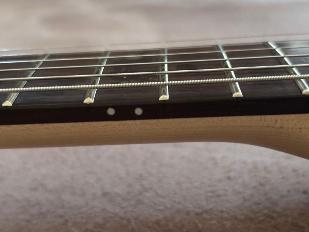 Bacchus TACTICS-BP/R BD-B テレキャスタータイプ