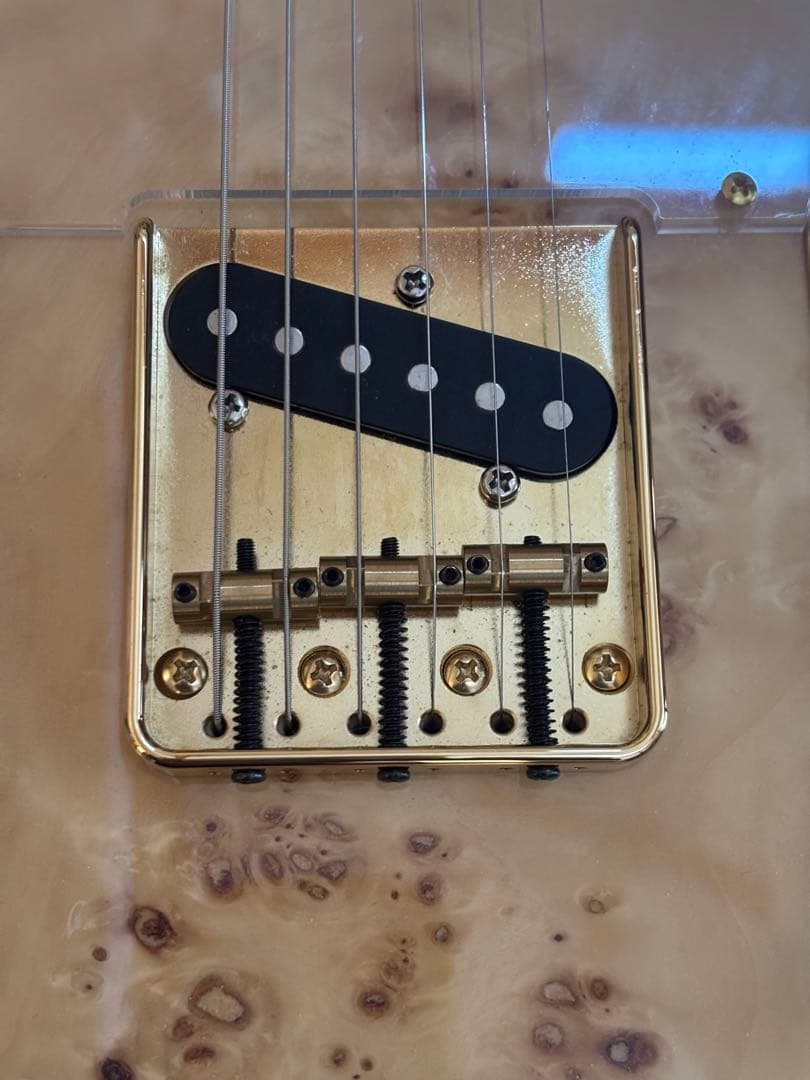 Bacchus TACTICS-BP/R BD-B テレキャスタータイプ