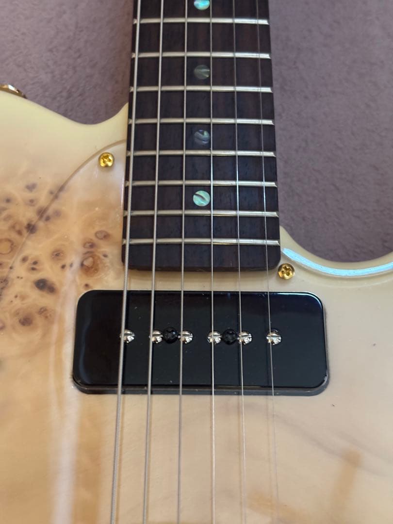 Bacchus TACTICS-BP/R BD-B テレキャスタータイプ