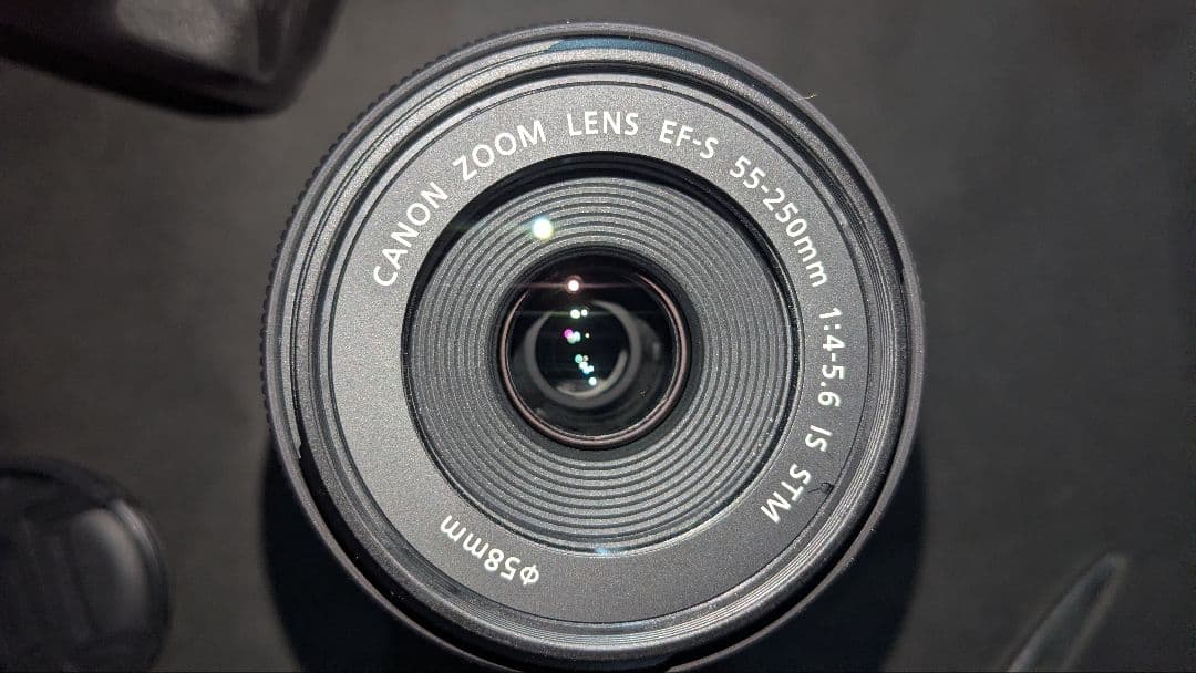 望遠レンズ Canon EFS 55-250mm IS STM