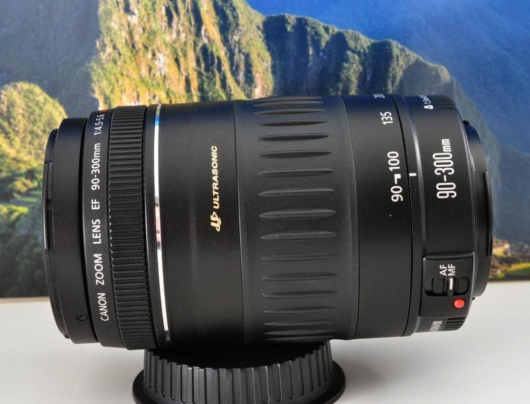 Canon EF 90-300mm USM 望遠ズーム 整備済 フード付キヤノン