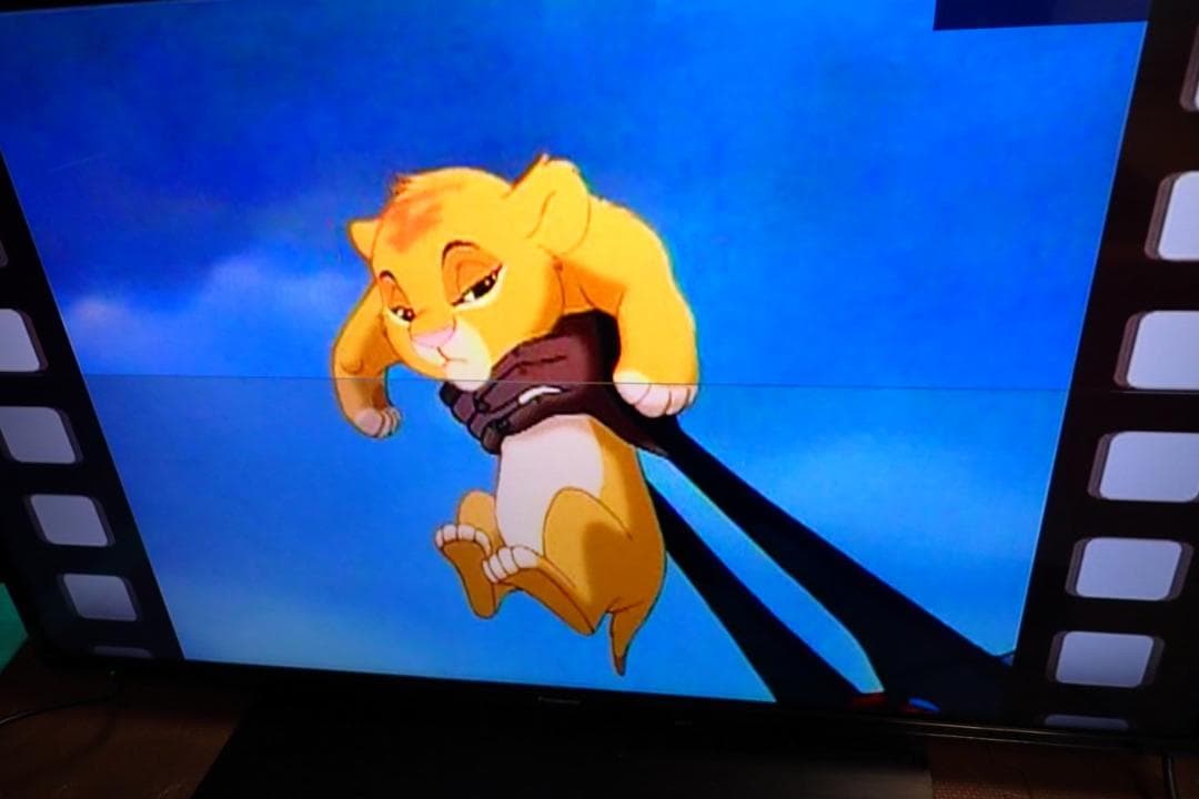 Panasonic TH-43GR770 4K液晶TV ブルーレイ内蔵 2021