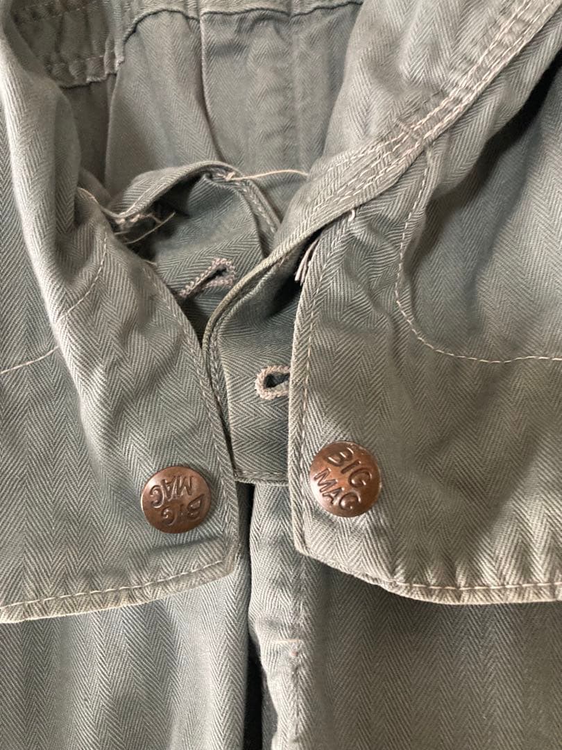 ラブラドールです！！