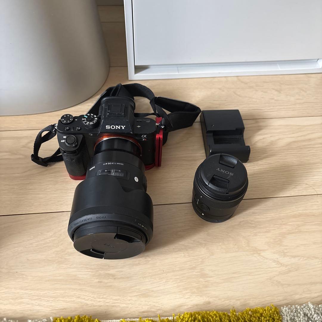 ぱ*ん様 α7RⅡ sigma50mm F 1.4