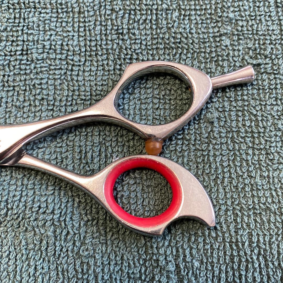 タマコーシザース スーパーおそらく セニング 6.0インチ 右利き　40〜45%